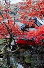 麻d大象传媒-麻d大象传媒，数字时代的文化桥梁与创意先锋